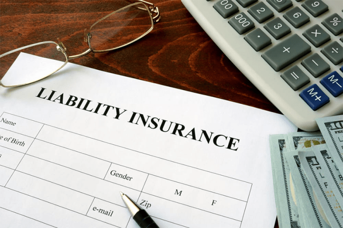 Cheap LLC Business Insurance: A Comprehensive Guide to Protect Your Business