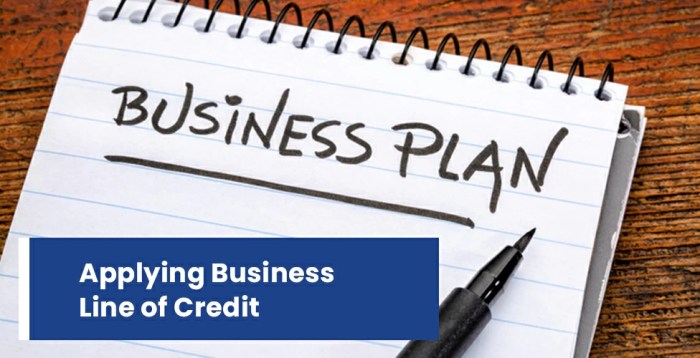 Apply for a Business Line of Credit: Unlock Financial Flexibility