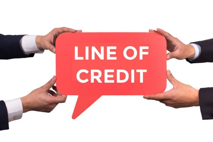 Unlock Financial Flexibility: Best Small Business Line of Credit