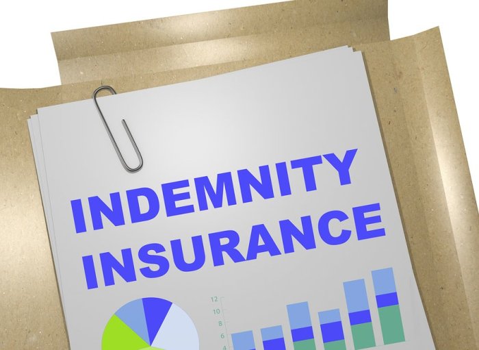 Small business indemnity insurance