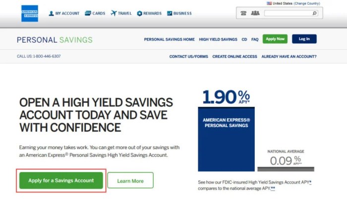 American Express Personal Savings: A Comprehensive Overview