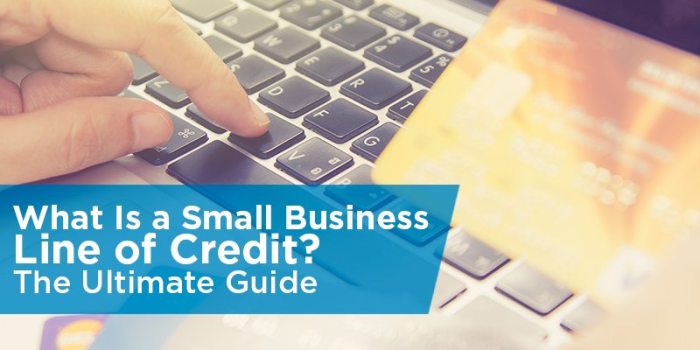 Small Business Line of Credit: A Lifeline for Growth and Success