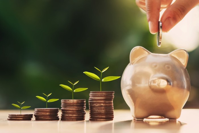 Puting budgeting budget advantageccs jug piggy stack