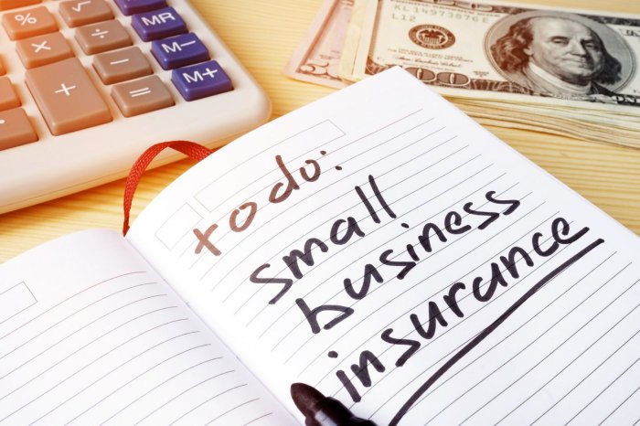 Insurance seguros assurances vertalingen traducciones traductions specific