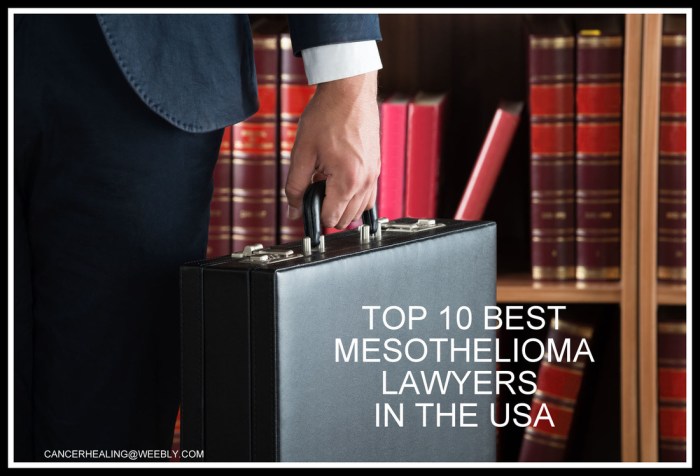 Top 10 Mesothelioma Law Firms: Unparalleled Expertise and Compassion
