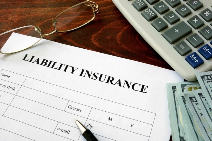 Insurance liability llc estate real llcs starting Cheap llc insurance