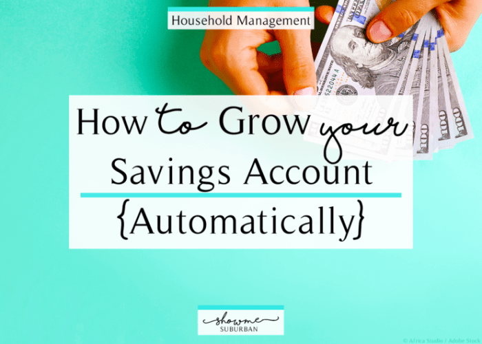 Best savings account to grow money