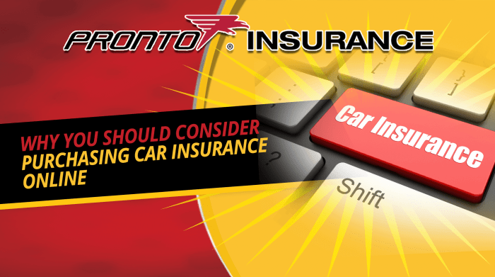 Insurance purchasing renewing policyx Insurance purchasing renewing policyx