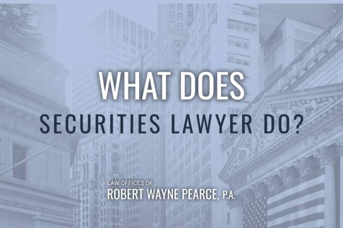 Securities lawyer