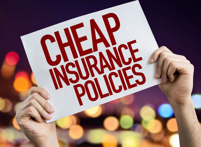 Insurance Insurance